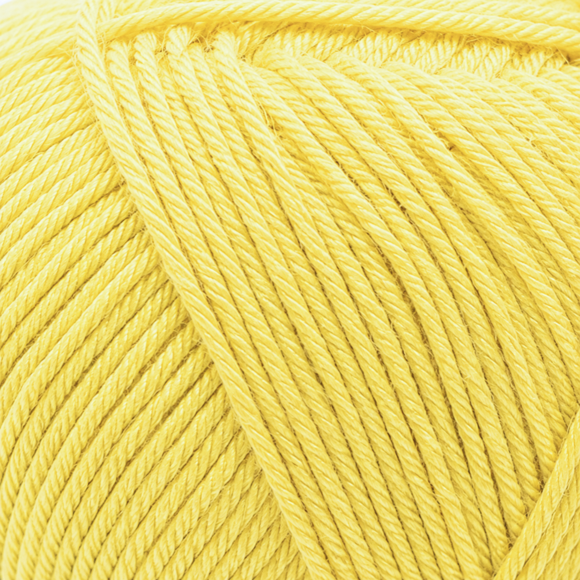 HOLA200HD_AMARILLO_PAJA_330_ZOOM_R2